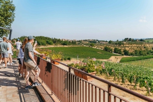 From Florence: Small Group Wine Tasting Tour to Tuscany