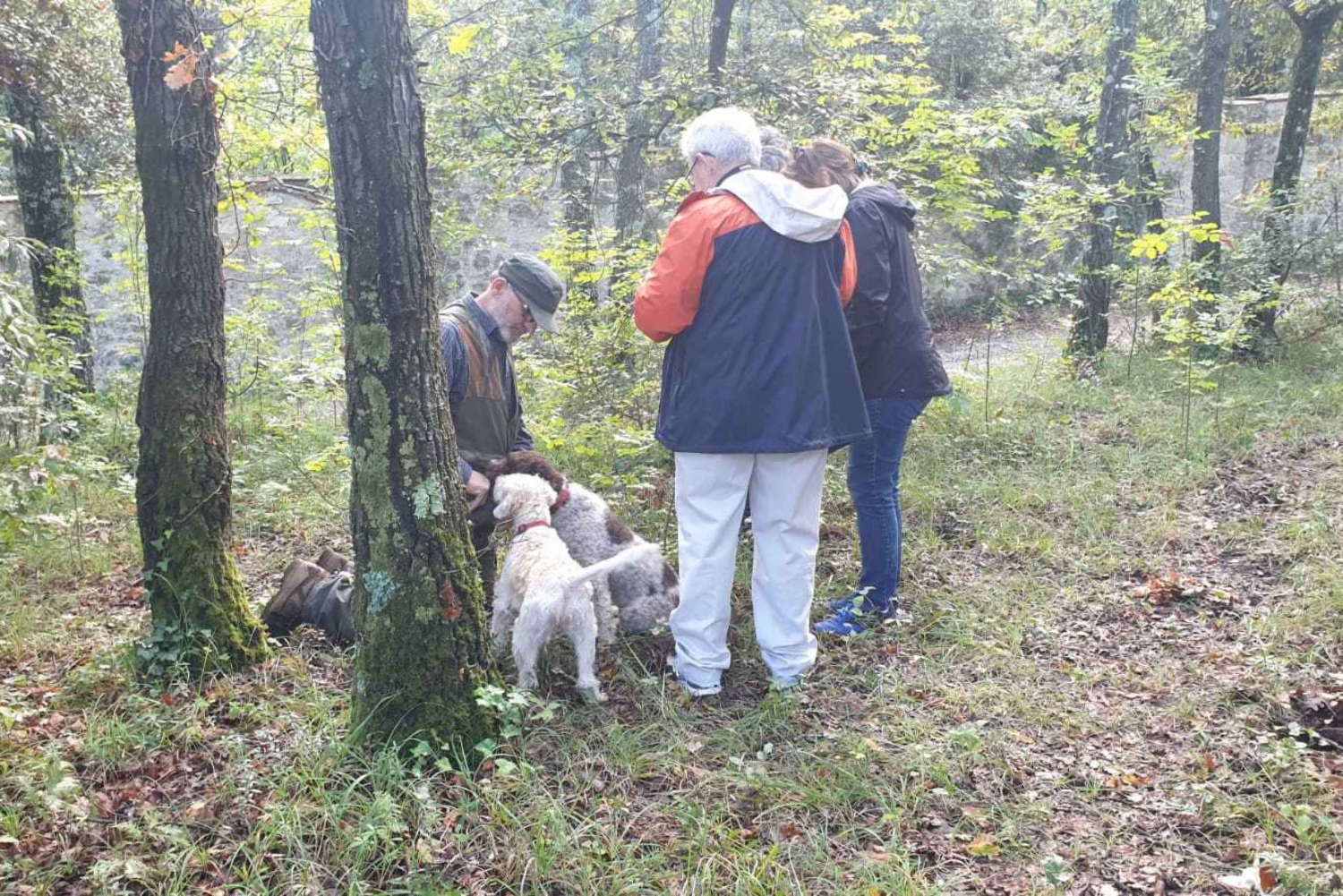 From Florence: Truffle Hunt and Lunch in the Countryside