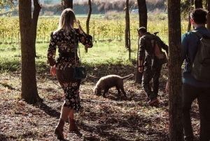 From Florence: Truffle Hunting with Lunch & Transportation