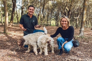 Fra Firenze: Trøffeljakt med lunsj og transport