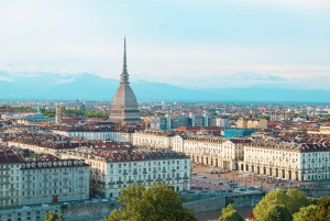 From Florence: Turin by High-Speed Train & Museum Ticket