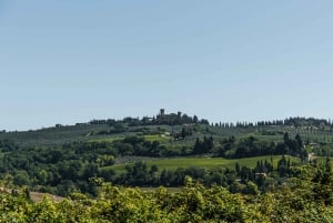 Vanuit Florence: rondleiding Toscaanse kastelen met eten en wijn