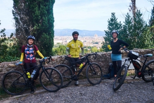 From Florence: Tuscany Bike Tour with Lunch and Wine Tasting