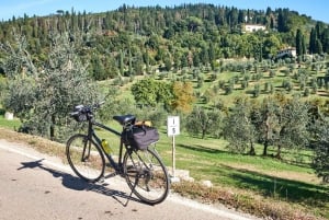 From Florence: Tuscany Bike Tour with Lunch and Wine Tasting