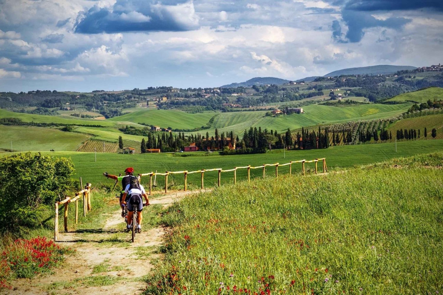 Desde Florencia: Toscana en E-Bike con comida y cata de vinos