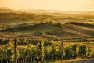 Desde Florencia: Toscana en E-Bike con comida y cata de vinos