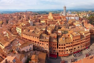 Vanuit Florence: dagtrip naar Toscane met een privéchauffeur