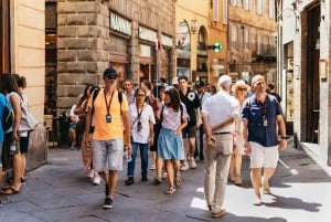 Z Florencji: jednodniowa wycieczka do Toskanii z lunchem w winnicy Chianti