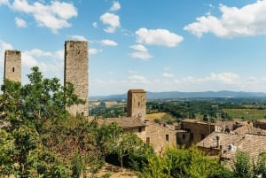 Fra Firenze: Toscana dagstur med frokost på Chianti vingård