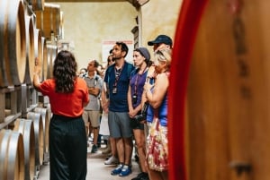 Från Florens: Dagstur till Toscana & Chianti vingårdslunch