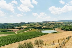 From Florence: Tuscany Day Trip with Lunch at Chianti winery
