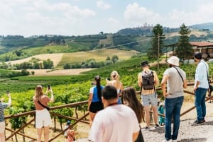 Depuis Florence : excursion Toscane et déjeuner au vignoble