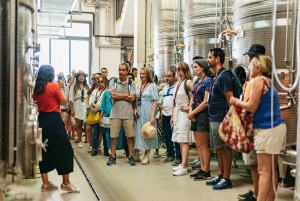From Florence: Tuscany Day Trip with Lunch at Chianti winery
