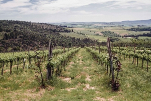 Florence: Trip to Sienna & San Gimignano with Lunch and Wine