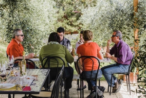 Florence: Trip to Sienna & San Gimignano with Lunch and Wine