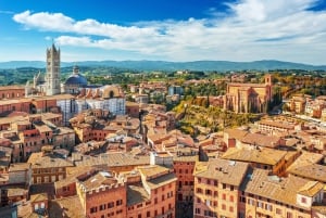 Fra Firenze: Heldagstur til Toscanas høydepunkter