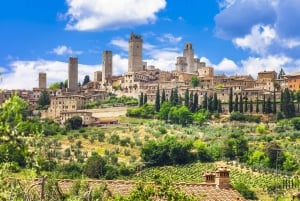 Från Florens: Heldagstur till Toscanas höjdpunkter