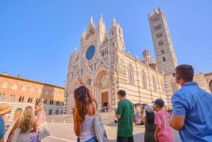 Vanuit Florence: dagvullende tour langs de hoogtepunten van Toscane