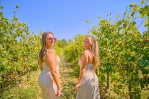 Vanuit Florence: dagvullende tour langs de hoogtepunten van Toscane