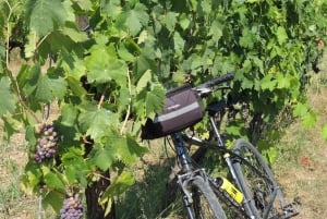 From Florence: Tuscany Hills Bike Tour with lunch at farm