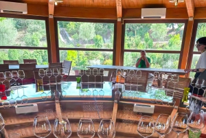 Von Florenz aus: Kleingruppentour durch die Hügel der Toskana mit Weinverkostung