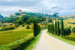 Von Florenz aus: Kleingruppentour durch die Hügel der Toskana mit Weinverkostung