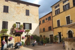 Von Florenz aus: Kleingruppentour durch die Hügel der Toskana mit Weinverkostung