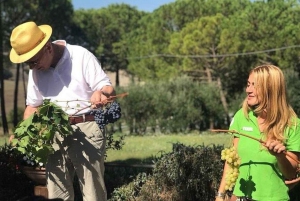 Von Florenz aus: Kleingruppentour durch die Hügel der Toskana mit Weinverkostung