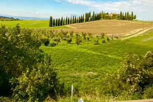 Von Florenz aus: Kleingruppentour durch die Hügel der Toskana mit Weinverkostung