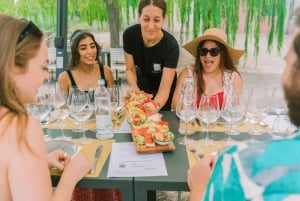 Da Firenze: Toscana, Siena, San Gimignano e pranzo in cantina