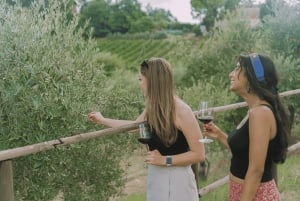 Da Firenze: Toscana, Siena, San Gimignano e pranzo in cantina