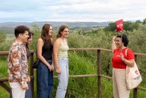 Da Firenze: Toscana, Siena, San Gimignano e pranzo in cantina