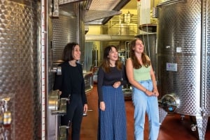 Da Firenze: Toscana, Siena, San Gimignano e pranzo in cantina