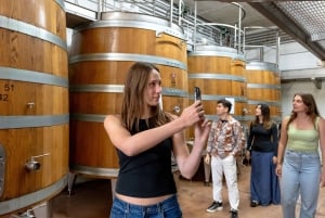 Da Firenze: Toscana, Siena, San Gimignano e pranzo in cantina