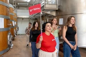 Da Firenze: Toscana, Siena, San Gimignano e pranzo in cantina