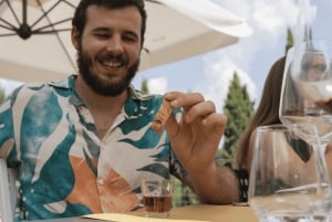 Da Firenze: Toscana, Siena, San Gimignano e pranzo in cantina