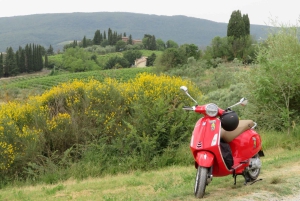 フィレンツェ発：トスカーナ・ヴェスパツアー（ランチ＆ワイン付き）