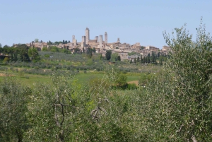 フィレンツェ発：トスカーナ・ヴェスパツアー（ランチ＆ワイン付き）