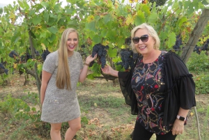 フィレンツェ発：トスカーナ・ヴェスパツアー（ランチ＆ワイン付き）