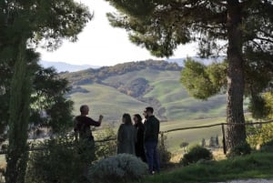 Au départ de Florence : Excursion d'une journée dans le Val d'Orcia pour une dégustation de vins