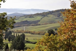 Från Florens: Val d'Orcia heldagstur med vinprovning
