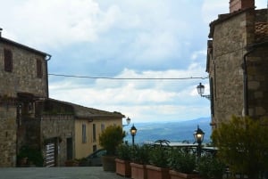 Au départ de Florence : Excursion d'une journée dans le Val d'Orcia pour une dégustation de vins