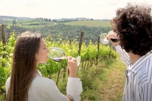 Z Florencji: Tuscany Hills Wine Tour