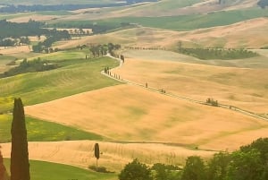 From Florence: Val d'Orcia Region Private Wine Tasting Tour