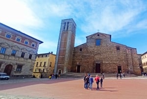 From Florence: Val d'Orcia Region Private Wine Tasting Tour