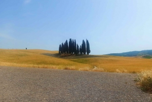 From Florence: Val d'Orcia Region Private Wine Tasting Tour