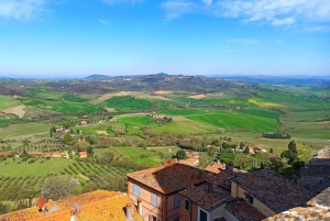 From Florence: Val d'Orcia Region Private Wine Tasting Tour