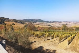 From Florence: Val d'Orcia Region Private Wine Tasting Tour