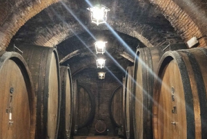 From Florence: Val d'Orcia Region Private Wine Tasting Tour