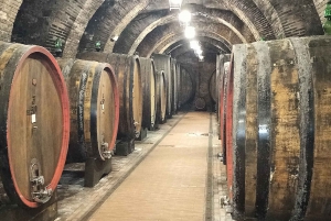 From Florence: Val d'Orcia Region Private Wine Tasting Tour